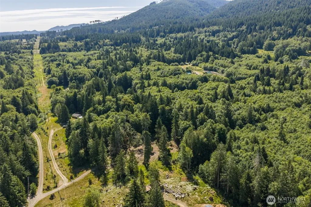244 Fielding Creek Drive Port Angeles WA 98363