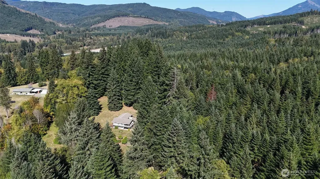 325 Davis Lake Road Morton WA 98356