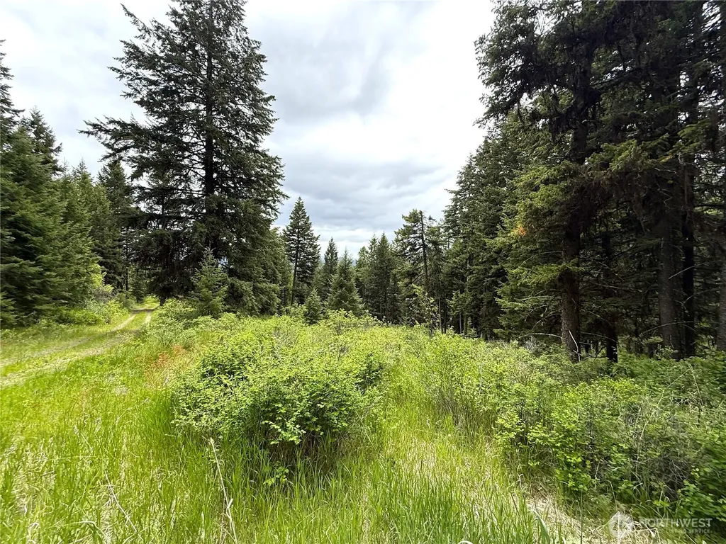 0 Pontiac Ridge Road Oroville WA 98844