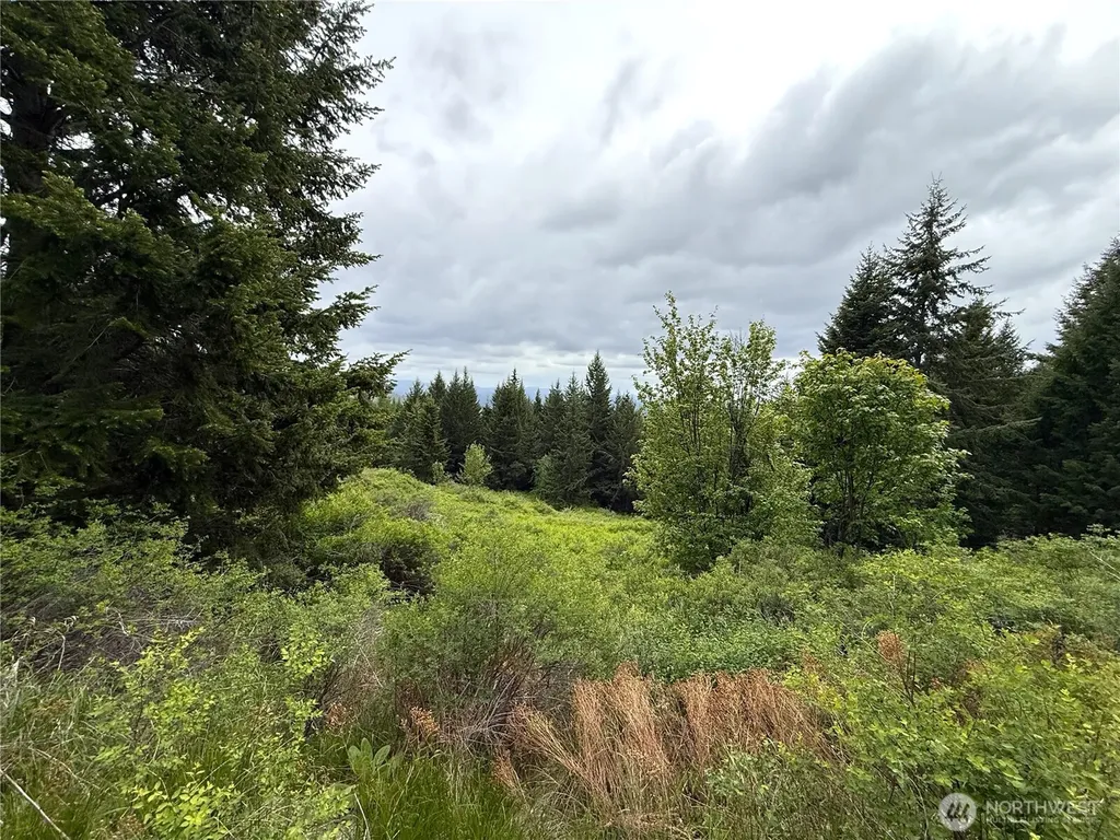 0 Pontiac Ridge Road Oroville WA 98844