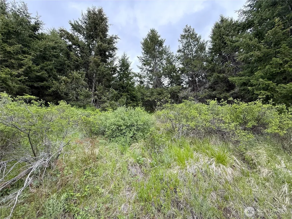 0 Pontiac Ridge Road Oroville WA 98844