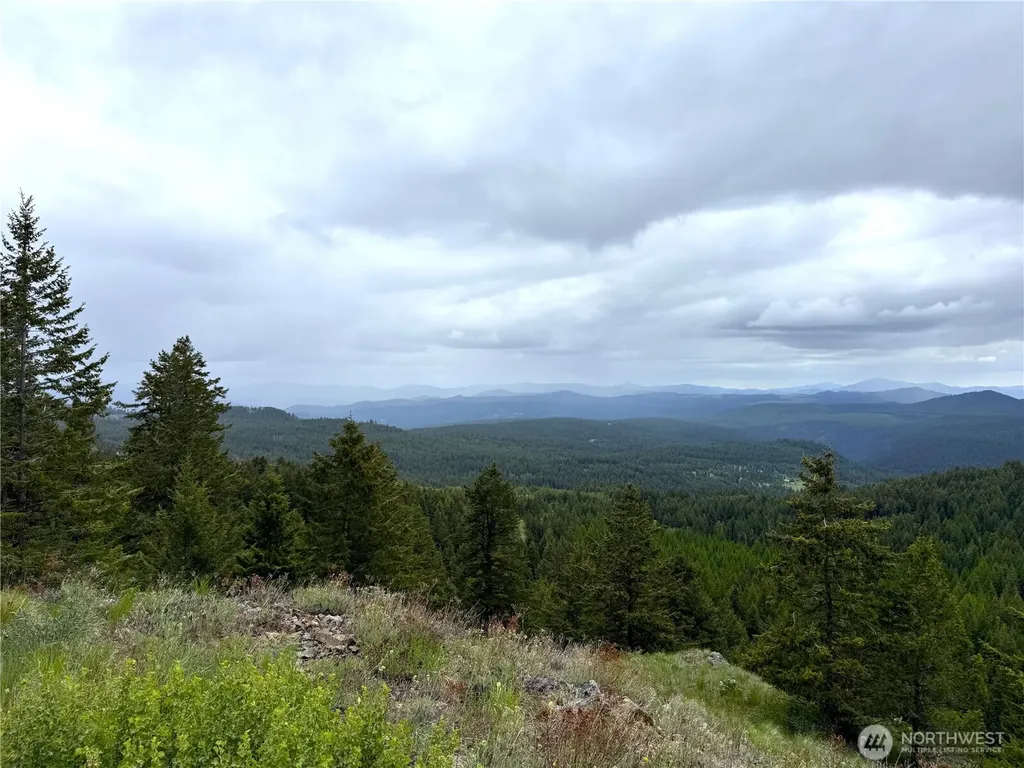 0 Pontiac Ridge Road Oroville WA 98844