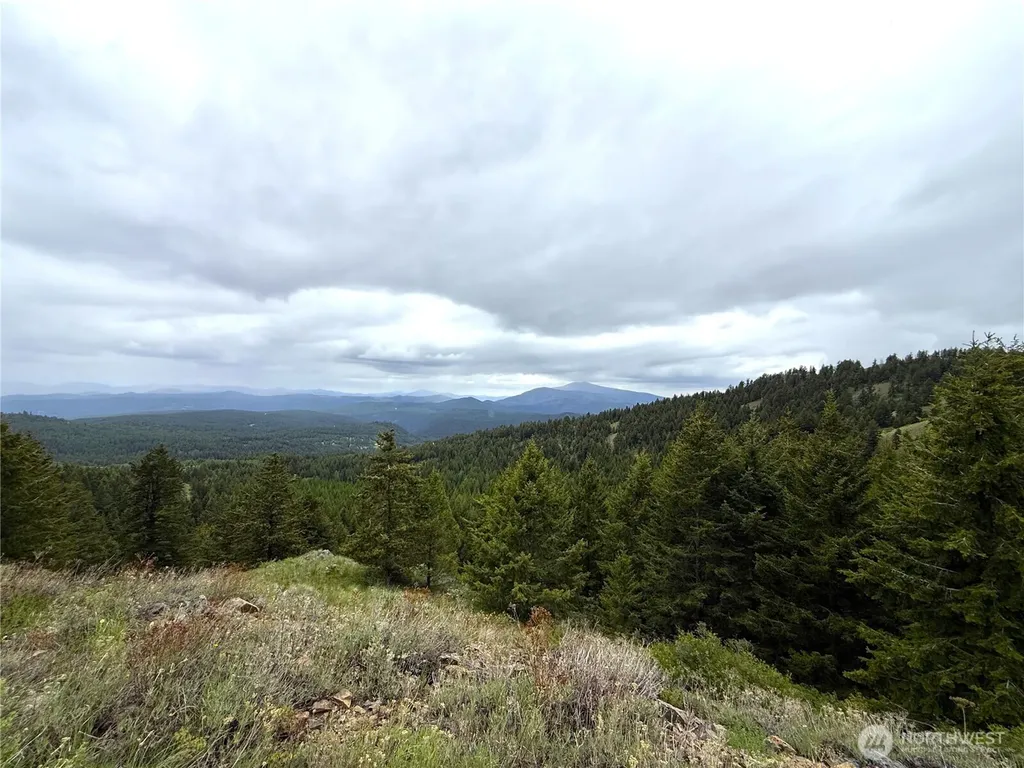 0 Pontiac Ridge Road Oroville WA 98844