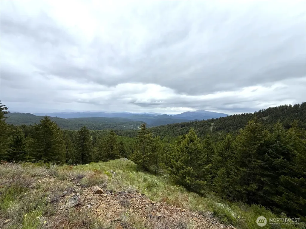 0 Pontiac Ridge Road Oroville WA 98844