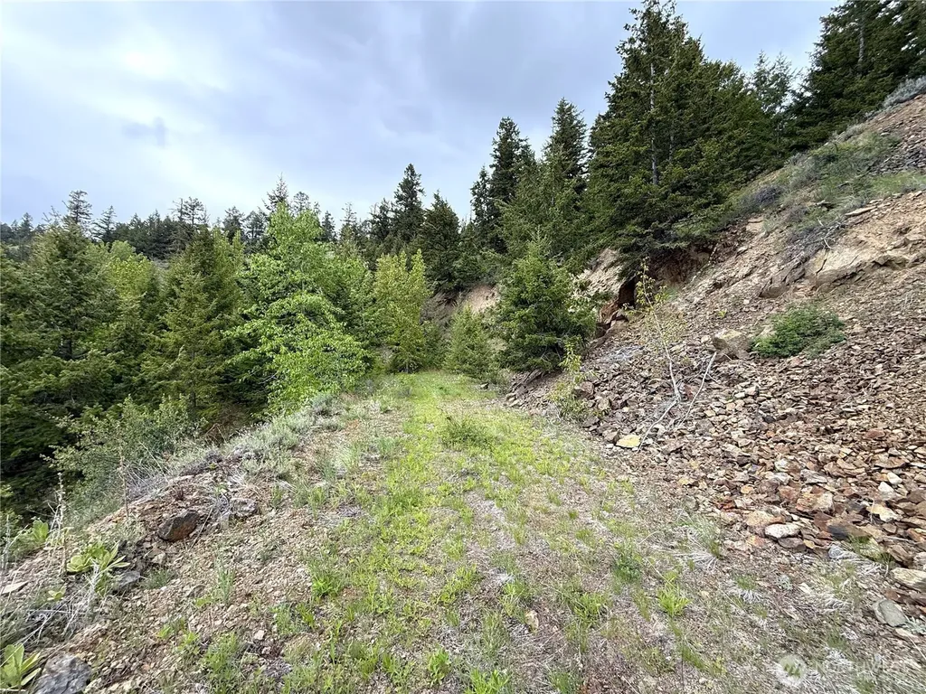 0 Pontiac Ridge Road Oroville WA 98844