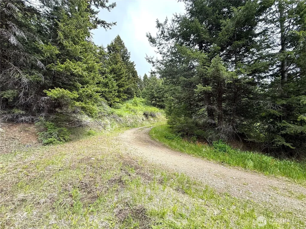 0 Pontiac Ridge Road Oroville WA 98844