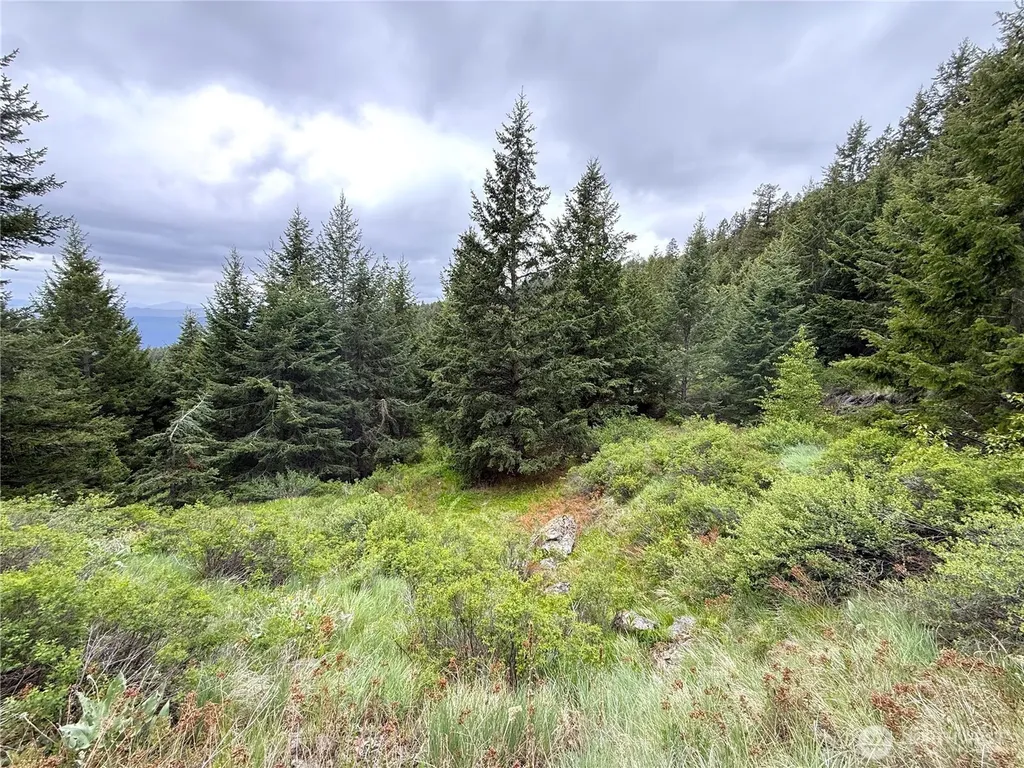 0 Pontiac Ridge Road Oroville WA 98844