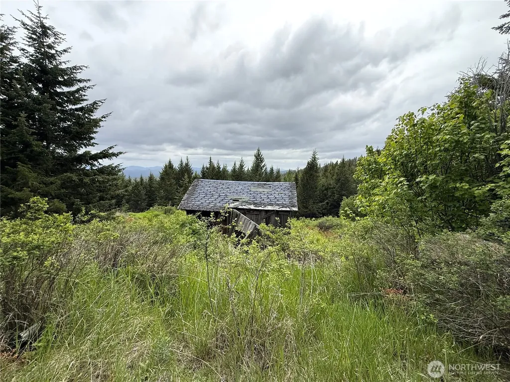 0 Pontiac Ridge Road Oroville WA 98844