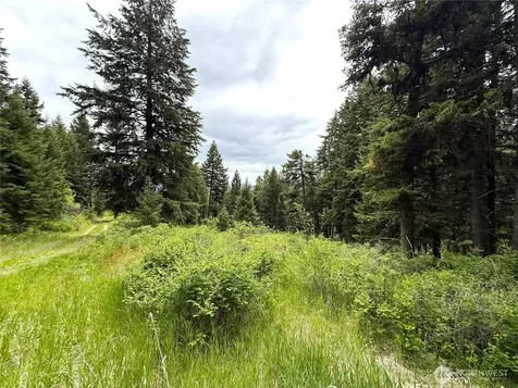 0 Pontiac Ridge Road Oroville WA 98844