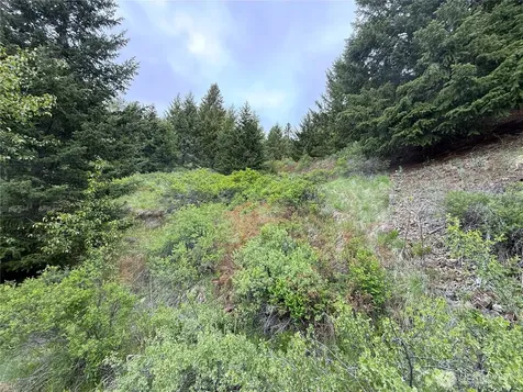 0 Pontiac Ridge Road Oroville WA 98844