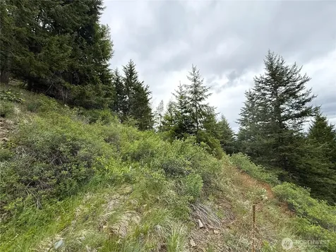 0 Pontiac Ridge Road Oroville WA 98844