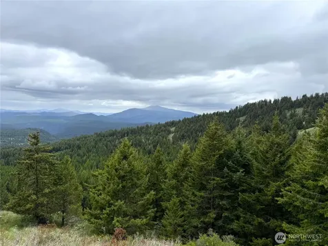 0 Pontiac Ridge Road Oroville WA 98844