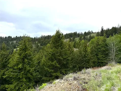 0 Pontiac Ridge Road Oroville WA 98844