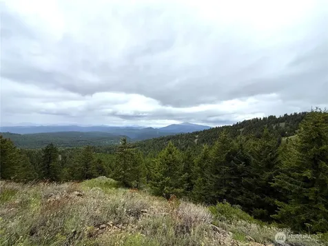 0 Pontiac Ridge Road Oroville WA 98844