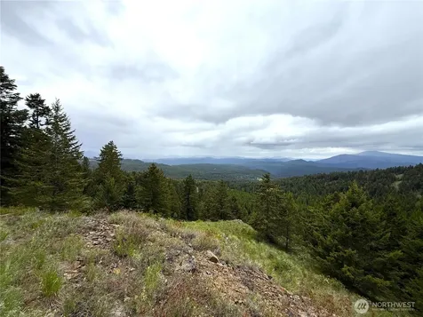 0 Pontiac Ridge Road Oroville WA 98844