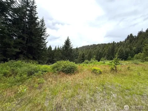 0 Pontiac Ridge Road Oroville WA 98844