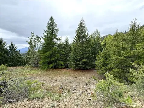 0 Pontiac Ridge Road Oroville WA 98844