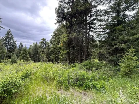 0 Pontiac Ridge Road Oroville WA 98844