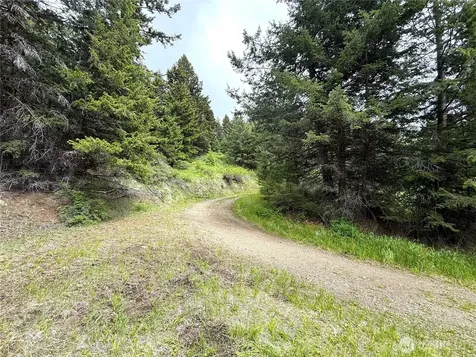 0 Pontiac Ridge Road Oroville WA 98844