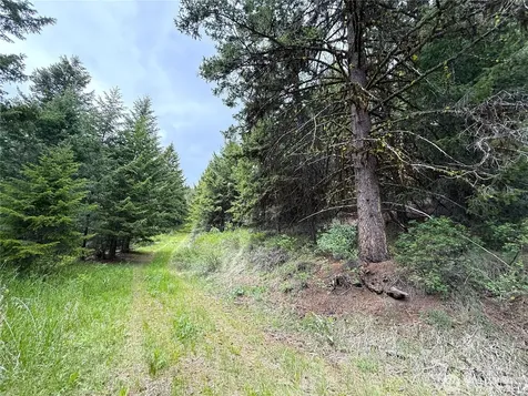 0 Pontiac Ridge Road Oroville WA 98844