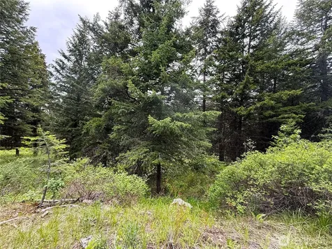 0 Pontiac Ridge Road Oroville WA 98844