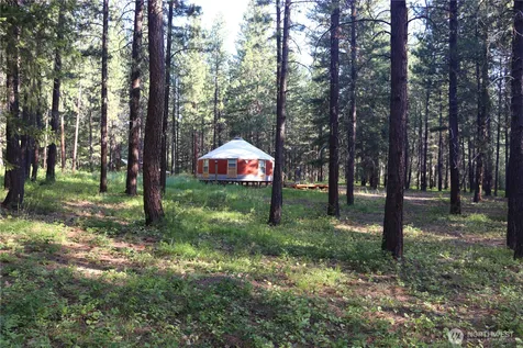 39 Ulrich Lane Mazama WA 98833