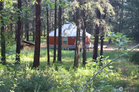 39 Ulrich Lane Mazama WA 98833