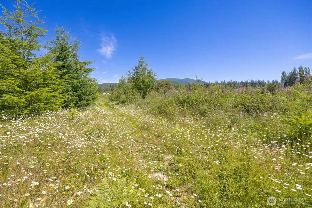 2802 Mt Baker Highway Bellingham WA 98226