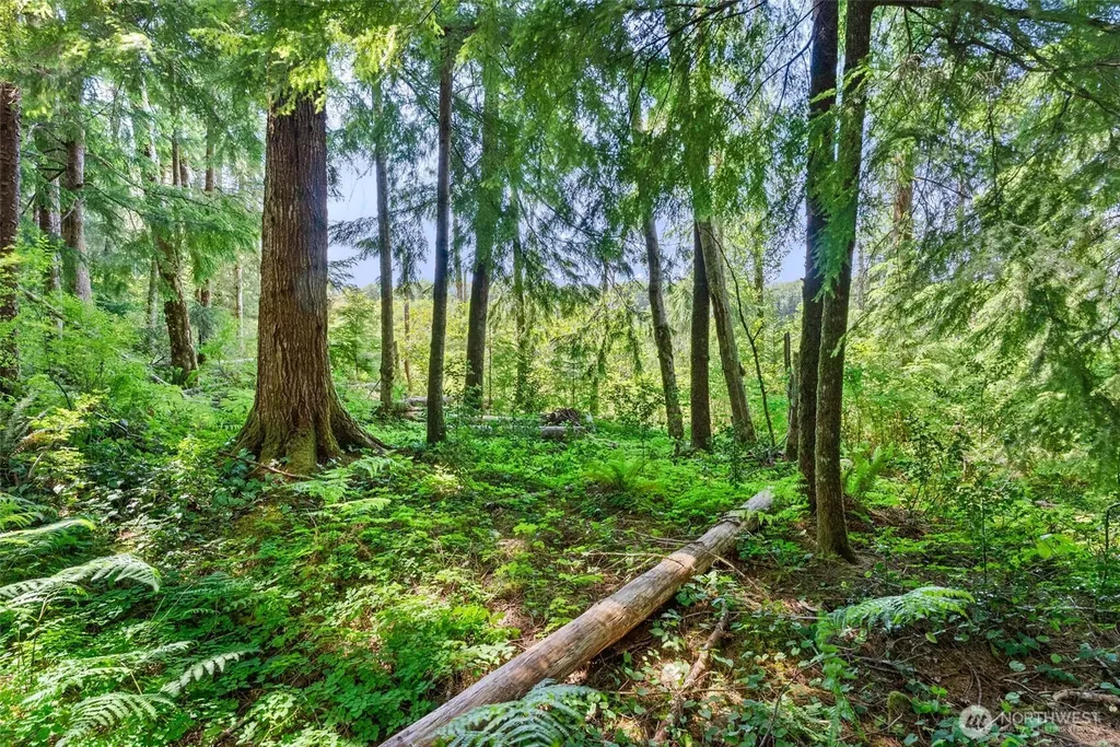 1788 Nelson Road Raymond WA 98577