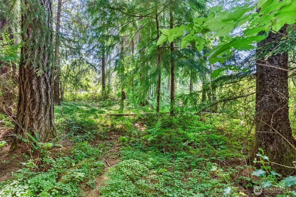 1788 Nelson Road Raymond WA 98577