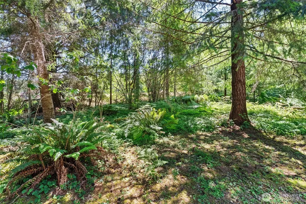 1788 Nelson Road Raymond WA 98577