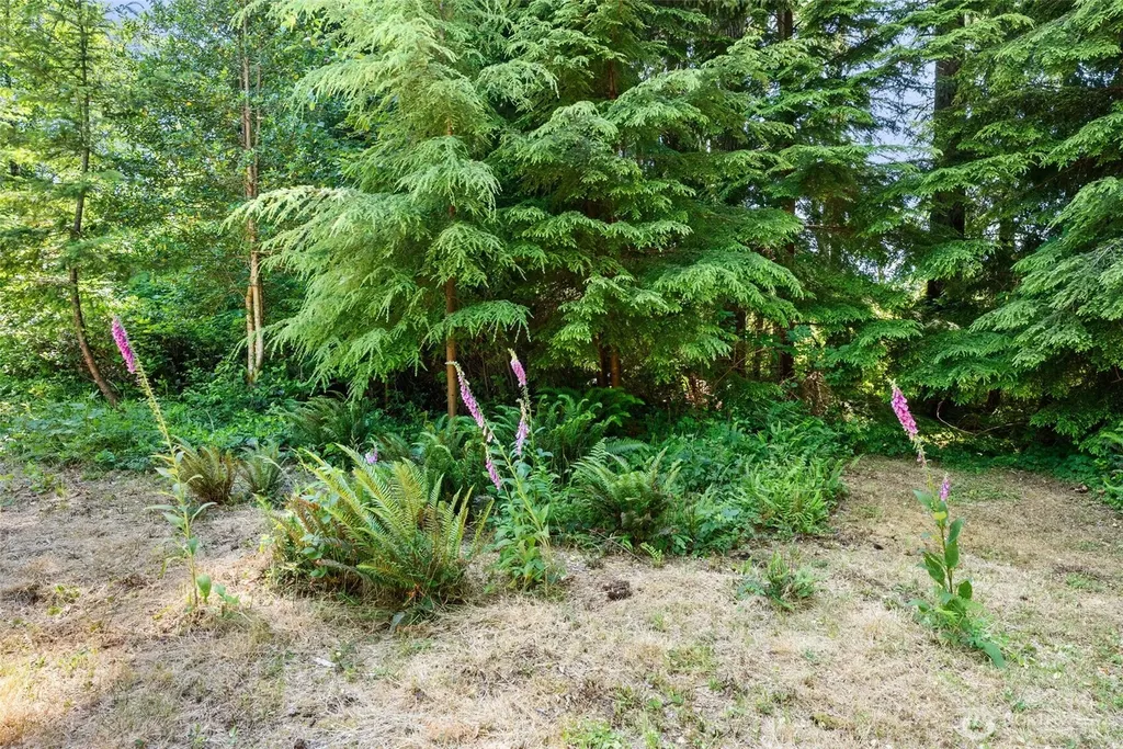 1788 Nelson Road Raymond WA 98577