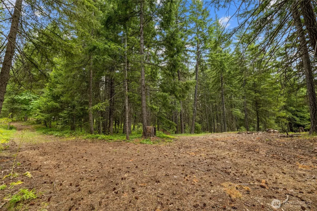 16341 Salmon La Sac Road Ronald WA 98940