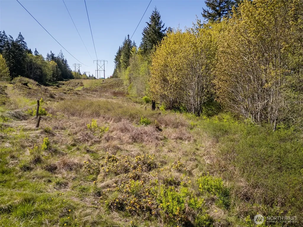 0 Roy Street Port Angeles WA 98362