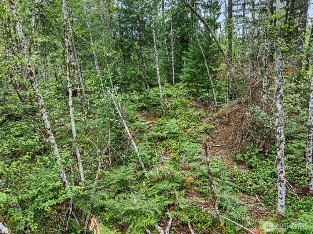 14845 W Harvest Lane Seabeck WA 98380