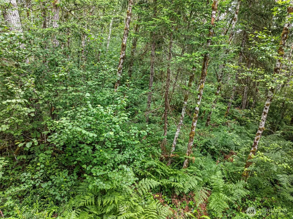 14845 W Harvest Lane Seabeck WA 98380