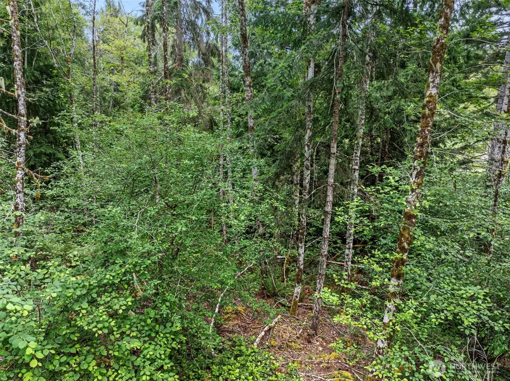 14845 W Harvest Lane Seabeck WA 98380