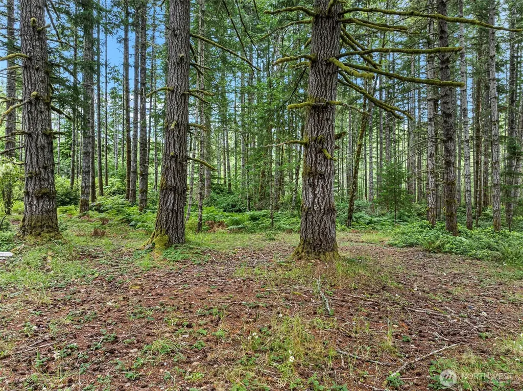 14845 W Harvest Lane Seabeck WA 98380