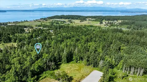 0 Mutiny Bay Road Freeland WA 98249