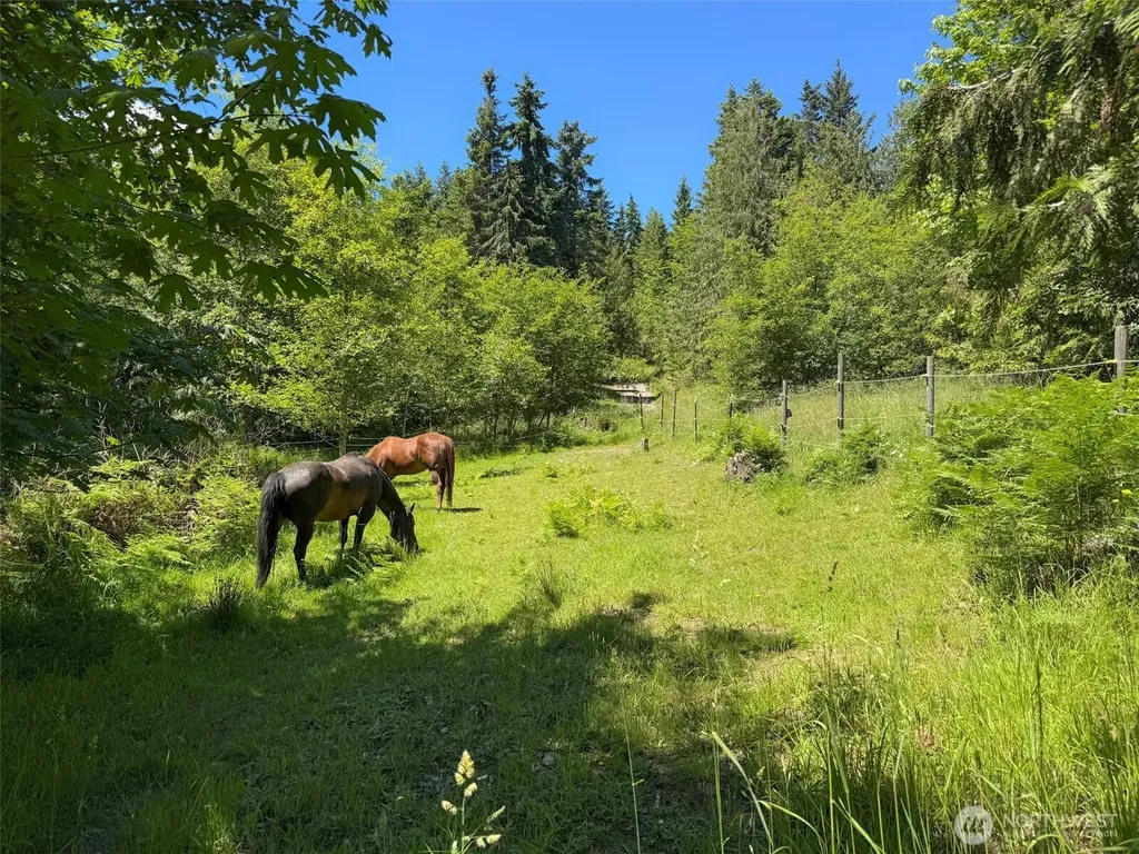 663 Glass Road Port Angeles WA 98362