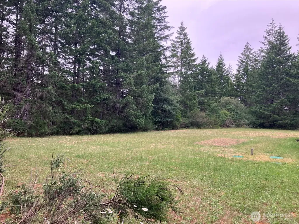 20 W Bridlewood Court Shelton WA 98584