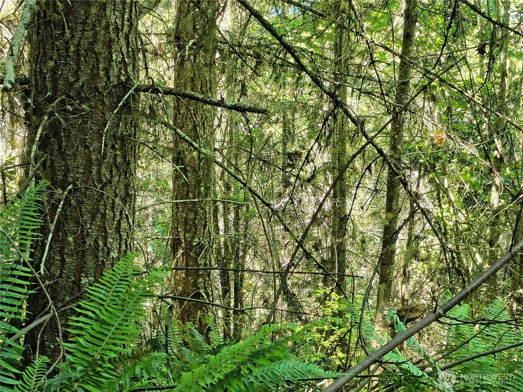 0 Blue Valley Road Port Angeles WA 98362