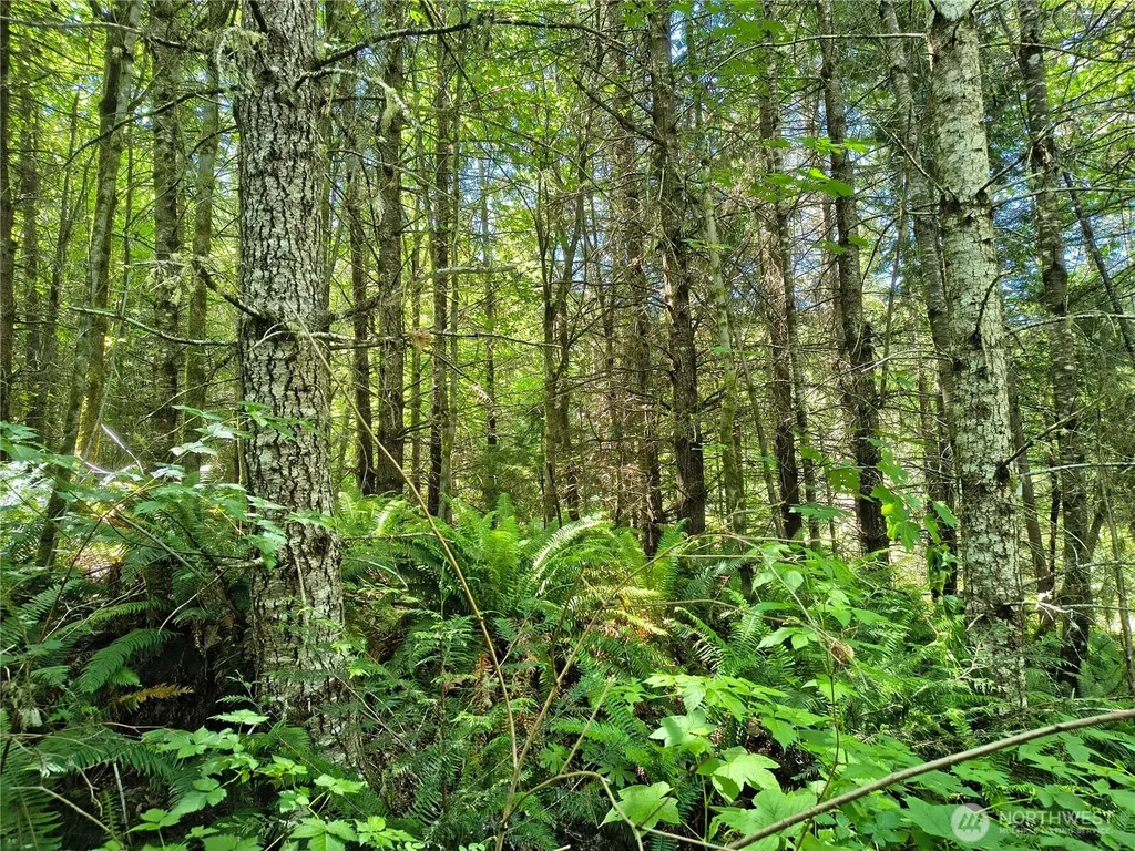 0 Blue Valley Road Port Angeles WA 98362