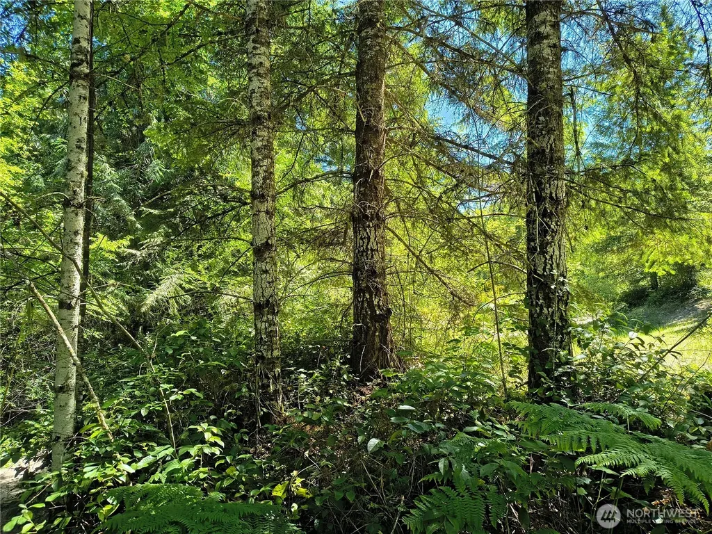 0 Blue Valley Road Port Angeles WA 98362