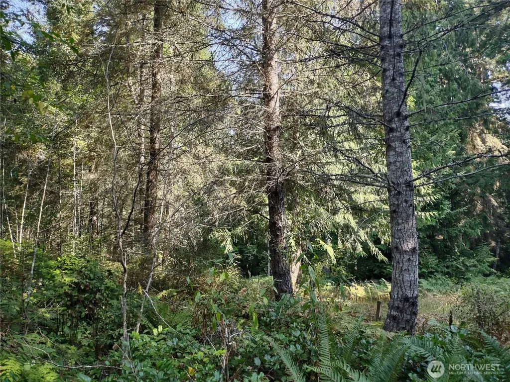 0 Blue Valley Road Port Angeles WA 98362