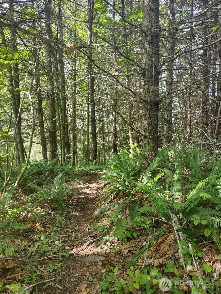 0 Hansen Road Port Angeles WA 98363