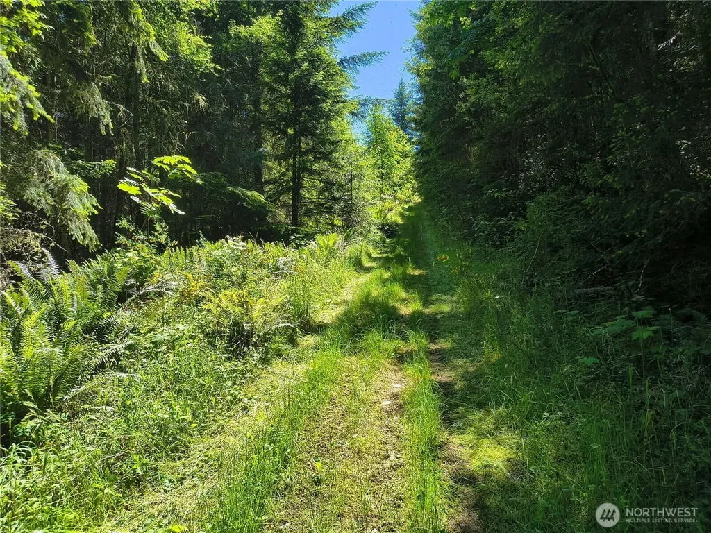 0 Hansen Road Port Angeles WA 98363