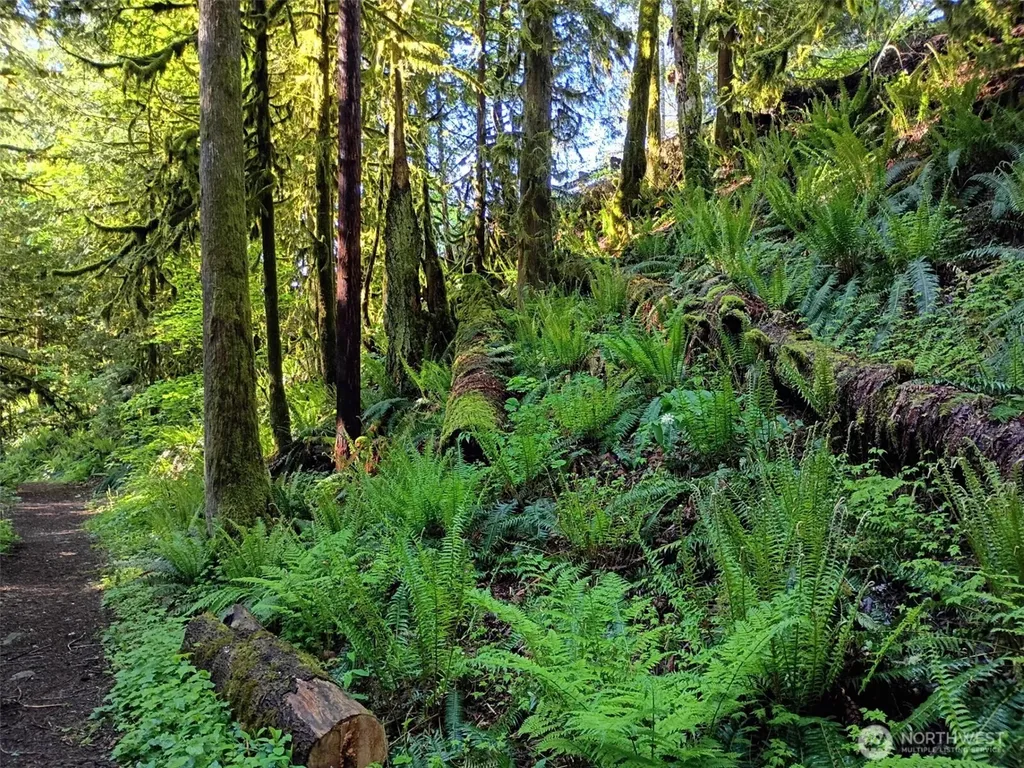 7882 Silver Lake Road Maple Falls WA 98266