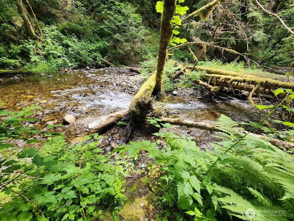 7882 Silver Lake Road Maple Falls WA 98266