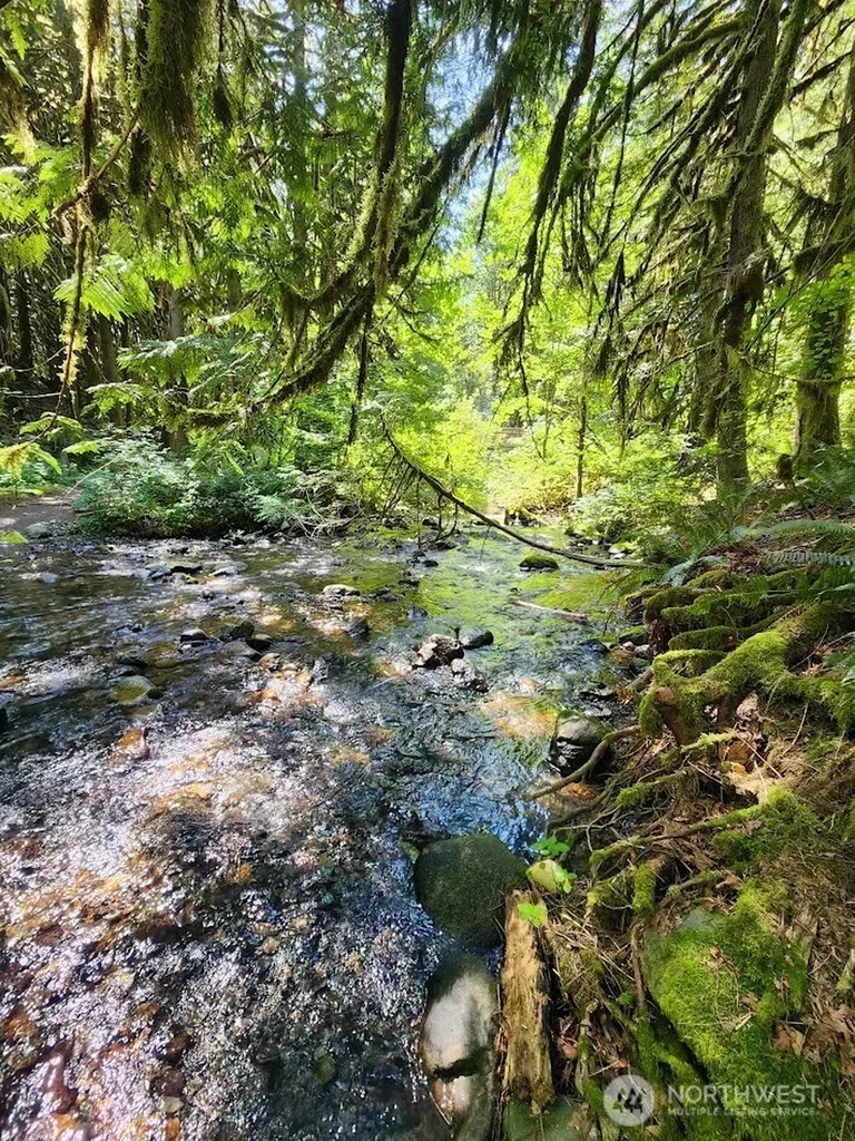 7882 Silver Lake Road Maple Falls WA 98266